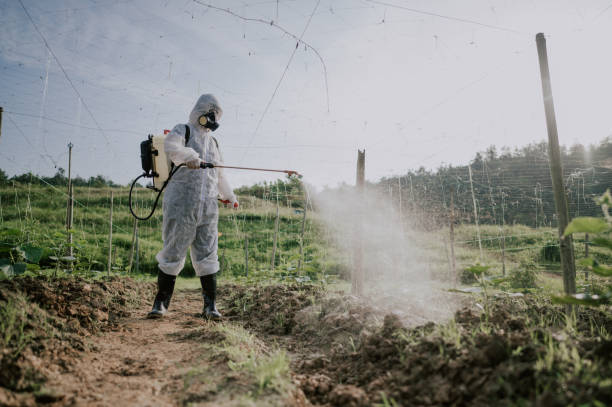 Best Pest Prevention Services  in Redfield, SD