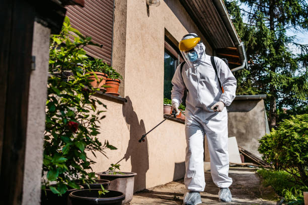 Best Mosquito Control Services  in Redfield, SD