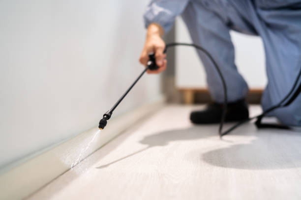Best Flea Control Services  in Redfield, SD