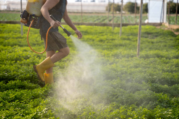 Best Pest Control Near Me  in Redfield, SD