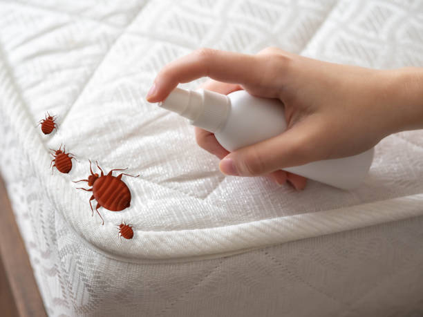Professional Pest Control in Redfield, SD