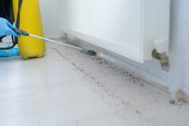 Best Pest Control for Homes  in Redfield, SD