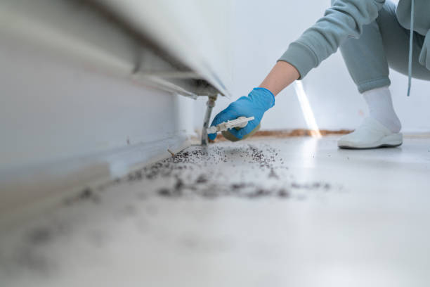 Best Pest Inspection Near Me  in Redfield, SD